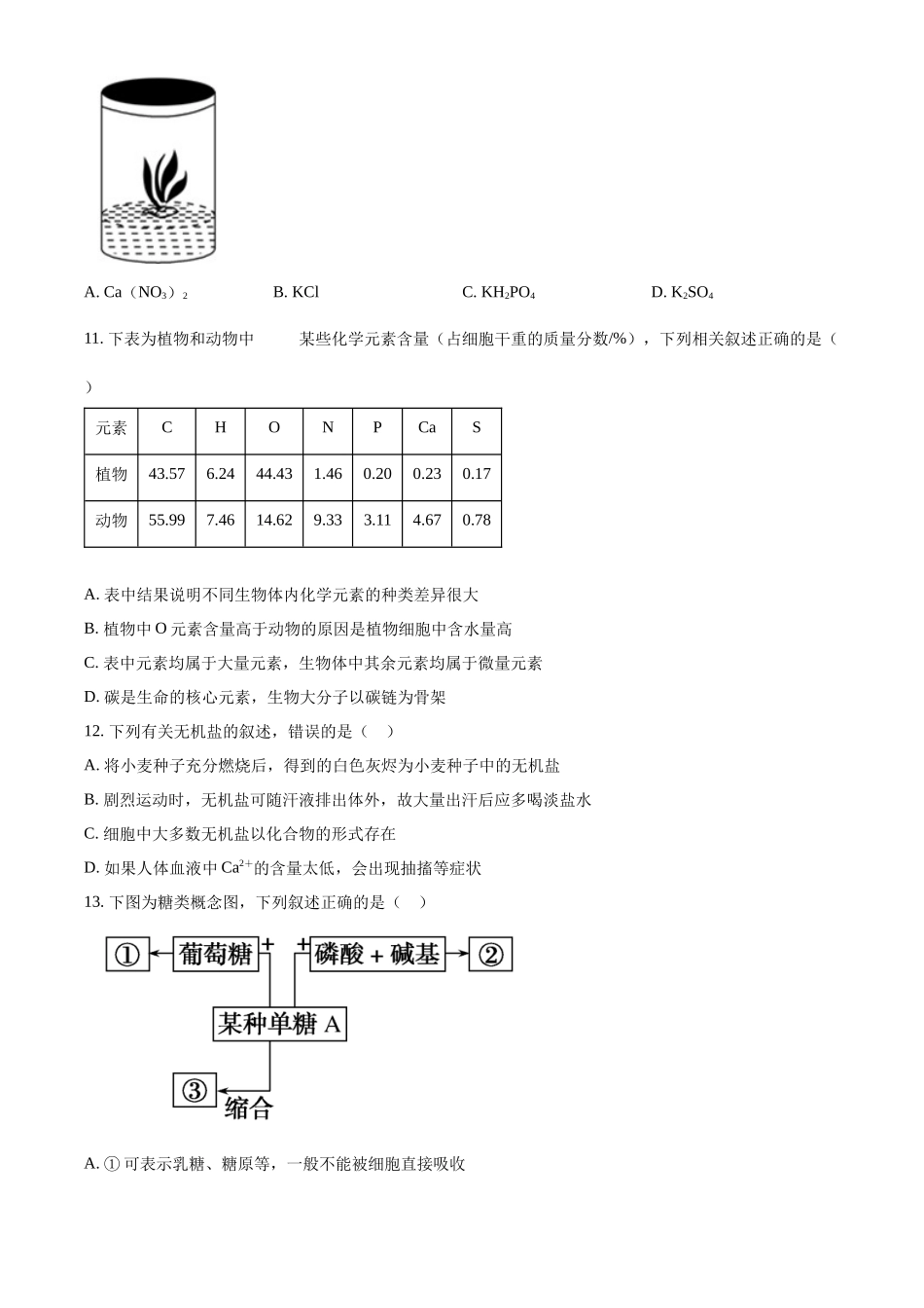 辽宁省县域重点高中协作体2024~2025学年高一上学期10月质量监测试题 生物含答案.docx_第3页