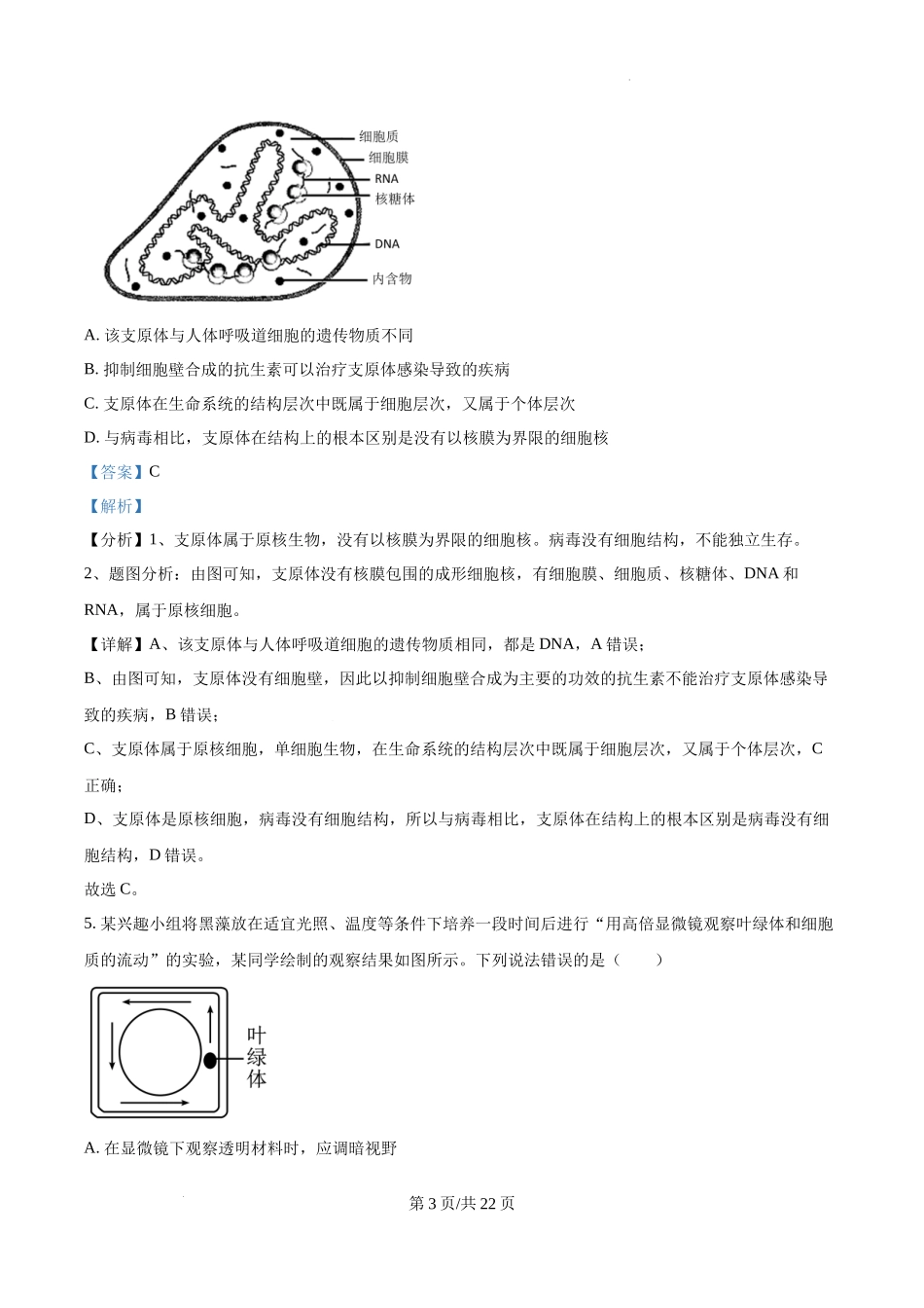 四川省成都市树德中学2024-2025学年高一上学期10月月考生物试题（解析版）.docx_第3页