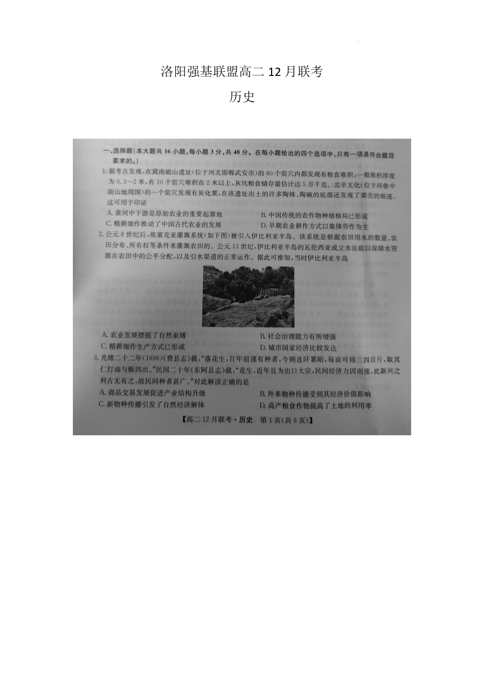 河南省洛阳市强基联盟2024-2025学年高二上学期12月月考试题 历史.pdf_第1页
