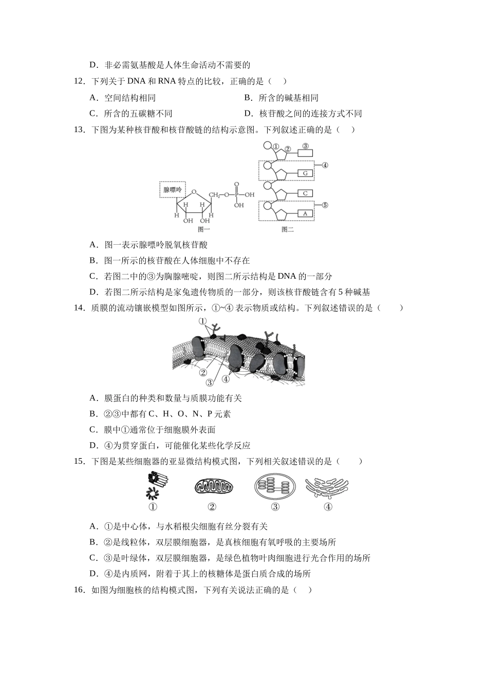 必修1综合测试卷（原卷版）-【学考复习】2024年高中生物学业水平考试必备考点归纳与测试（新教材专用）.docx_第3页