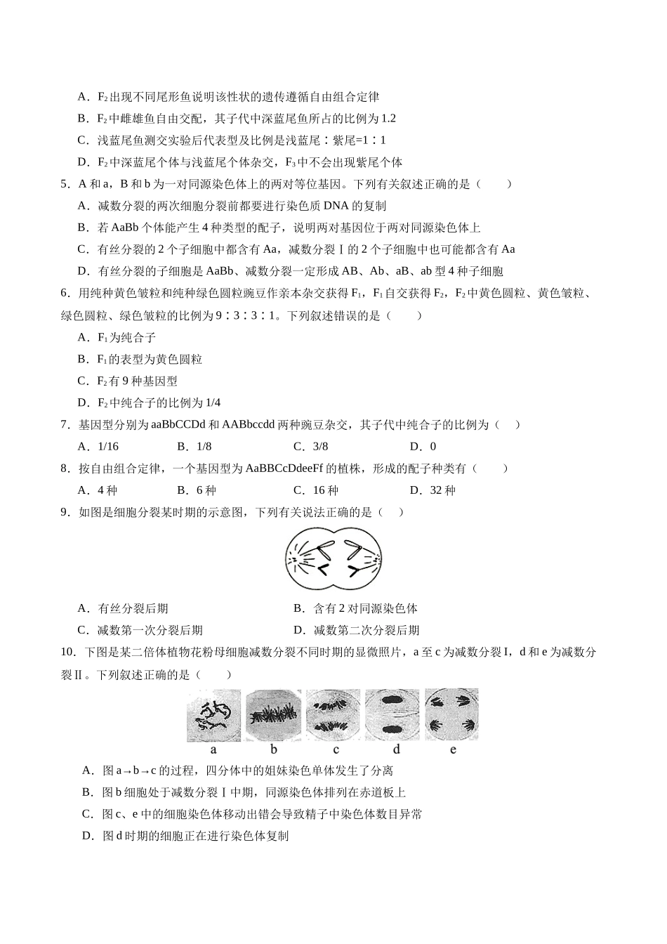 必修2综合测试卷（原卷版）-【学考复习】2024年高中生物学业水平考试必备考点归纳与测试（新教材专用）.docx_第2页