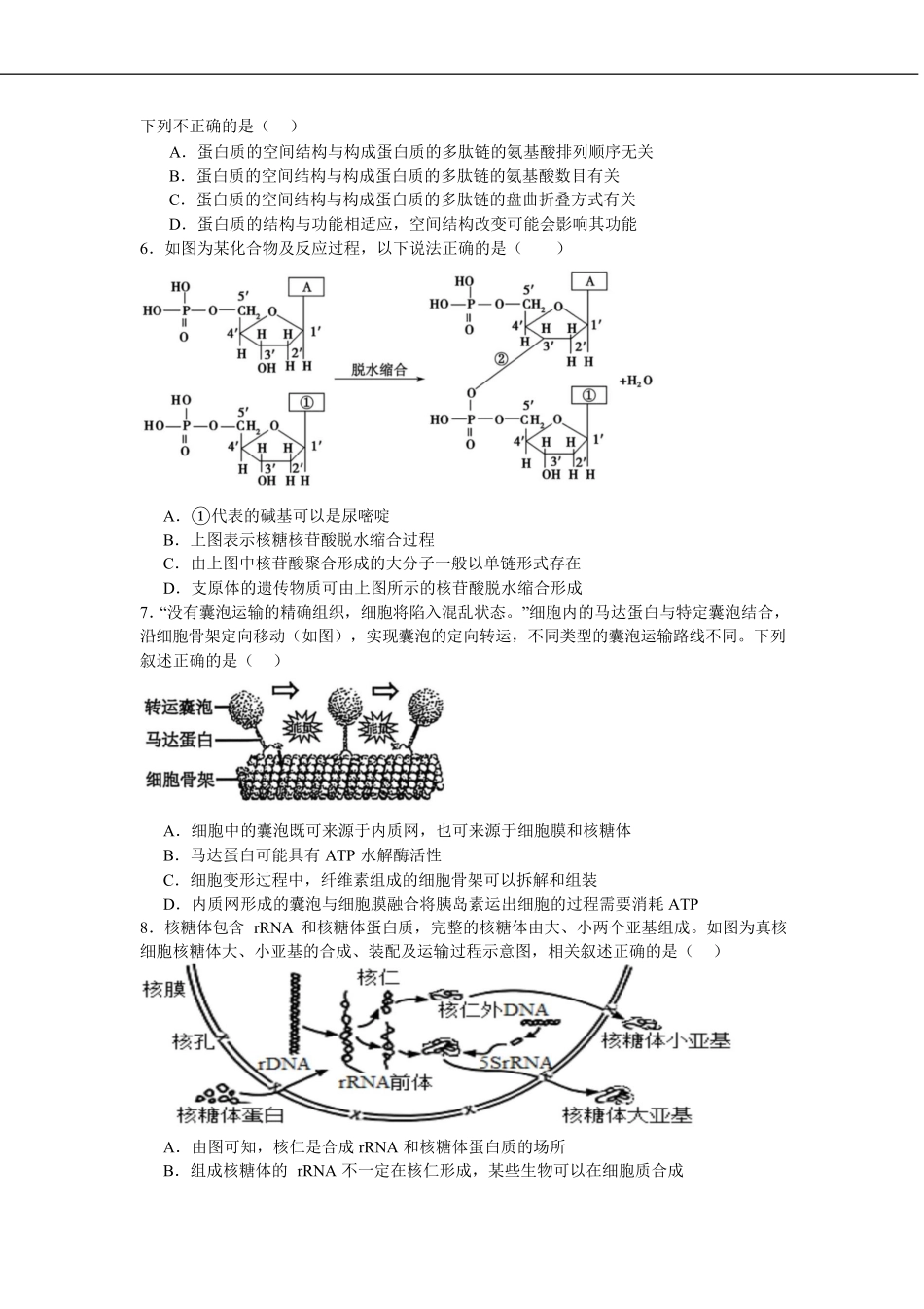 湖南省邵阳市第二中学、邵东一中等校联考2024-2025学年高一下学期5月诊断性测试生物试卷.pdf_第2页