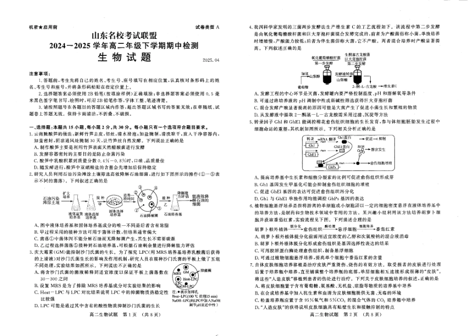 山东名校考试联盟2024—2025学年高二年级生物学学期中试题 高二生物.pdf_第1页