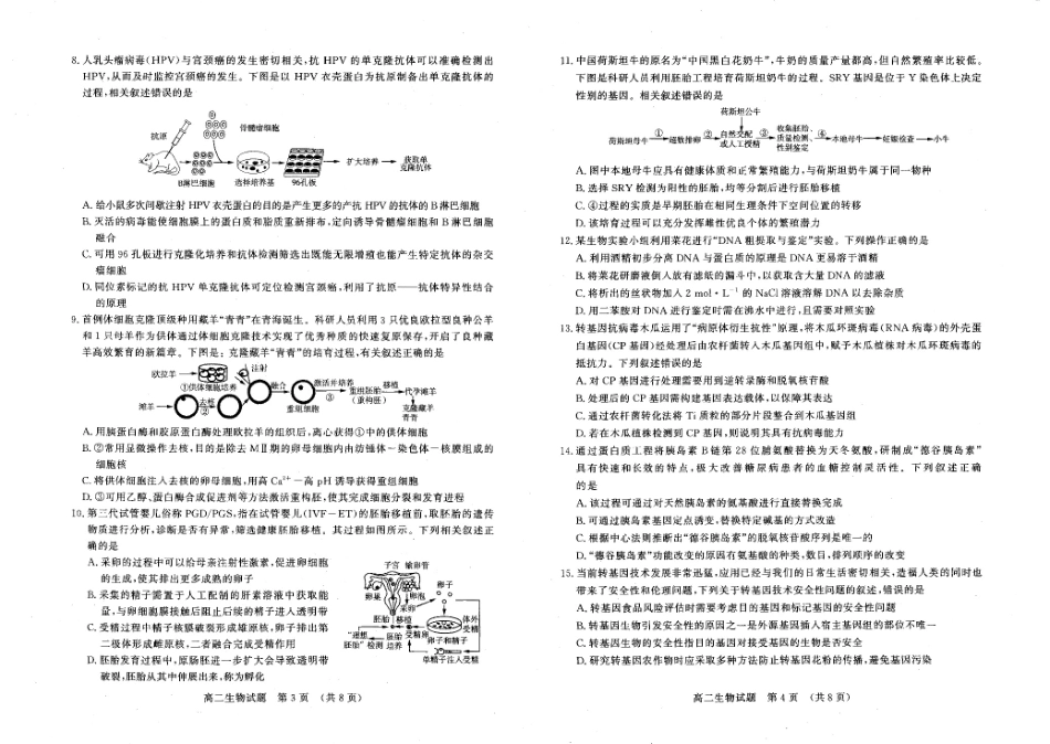 山东名校考试联盟2024—2025学年高二年级生物学学期中试题 高二生物.pdf_第2页