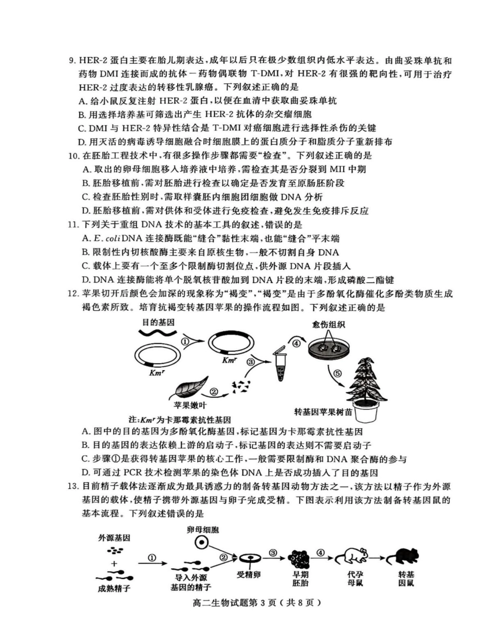 山东省聊城市2024-2025学年高二下学期期中考试 生物含答案.pdf_第3页