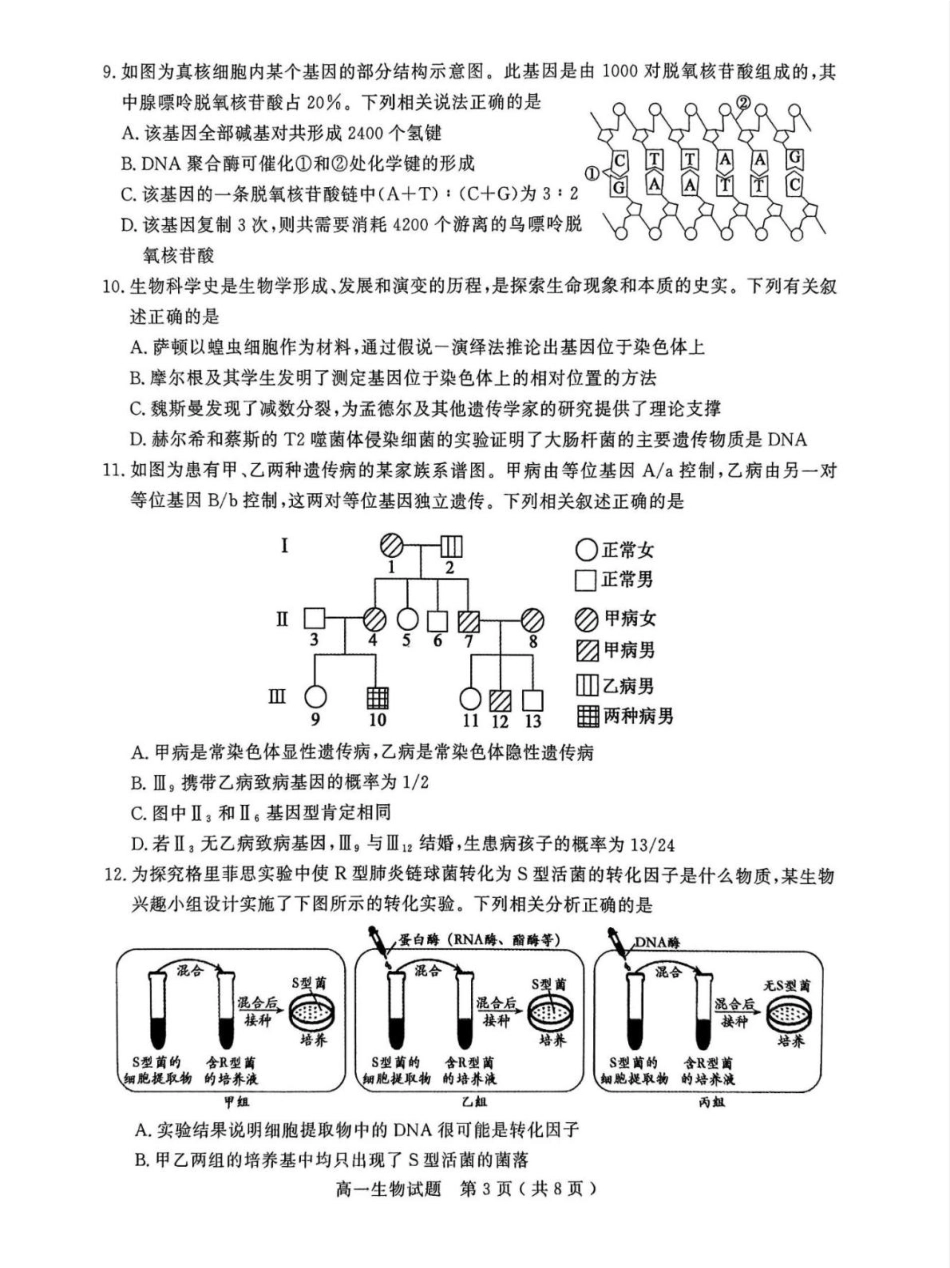 山东省聊城市2024-2025学年高一下学期期中考试 生物含答案.pdf_第3页