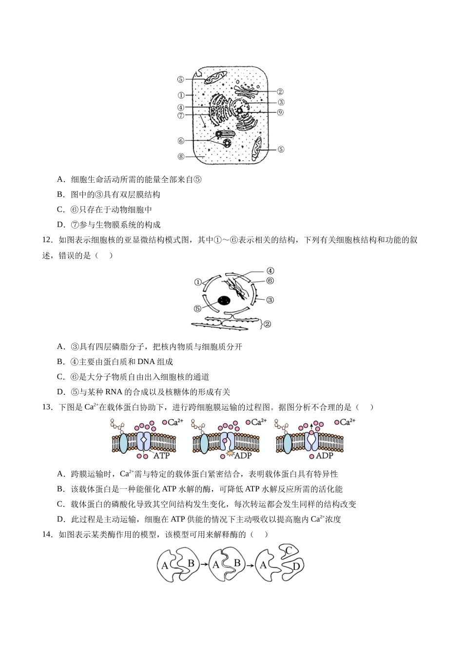 学考模拟测试卷01（原卷版）-【学考复习】2024年高中生物学业水平考试必备考点归纳与测试（新教材专用）.docx_第3页