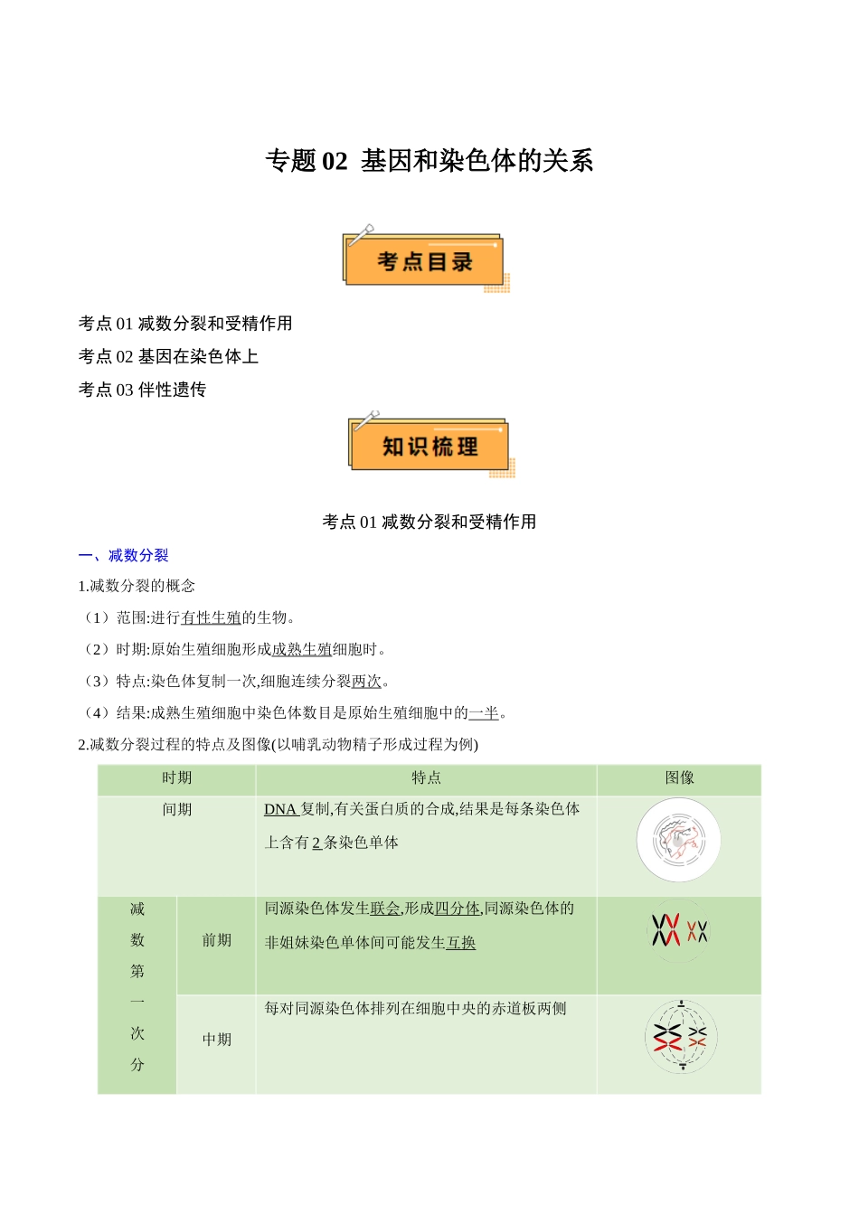 专题02 基因和染色体的关系（知识梳理）-【学考复习】2024年高中生物学业水平考试必备考点归纳与测试（新教材专用）.docx_第1页