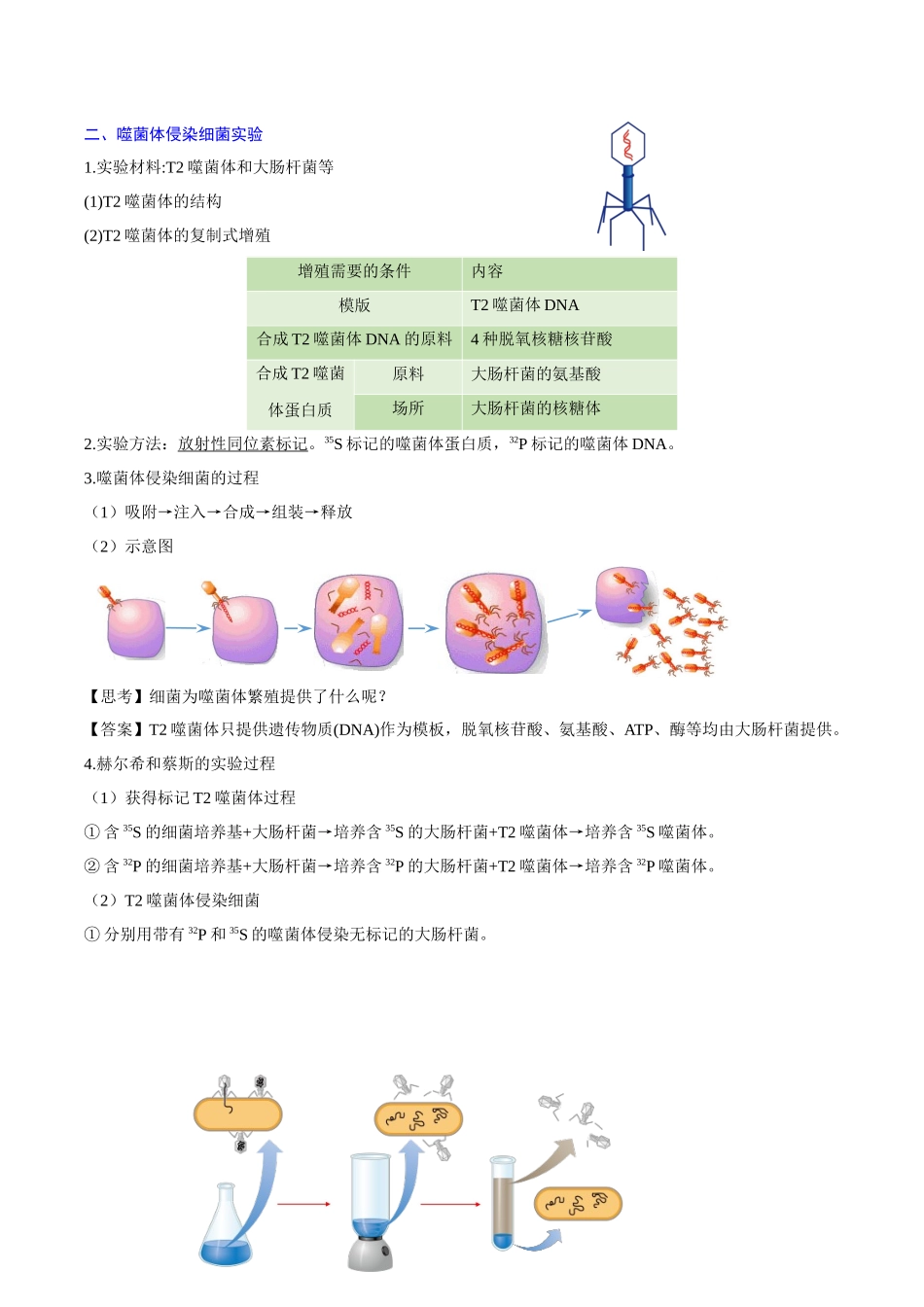 专题03 基因的本质 （知识梳理）-【学考复习】2024年高中生物学业水平考试必备考点归纳与测试（新教材专用）.docx_第3页