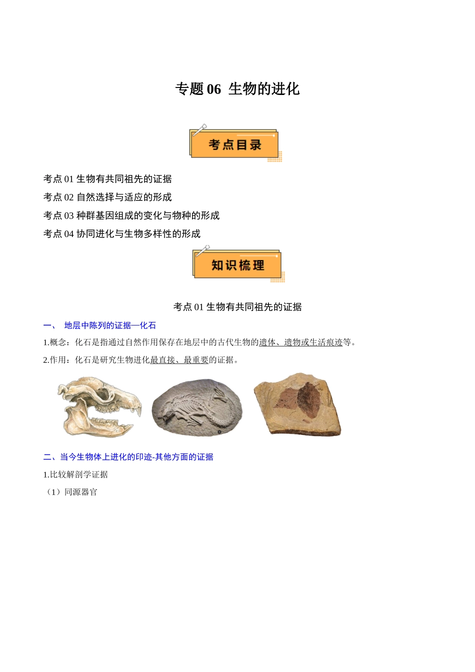 专题06 生物的进化（知识梳理）-【学考复习】2024年高中生物学业水平考试必备考点归纳与测试（新教材专用）.docx_第1页