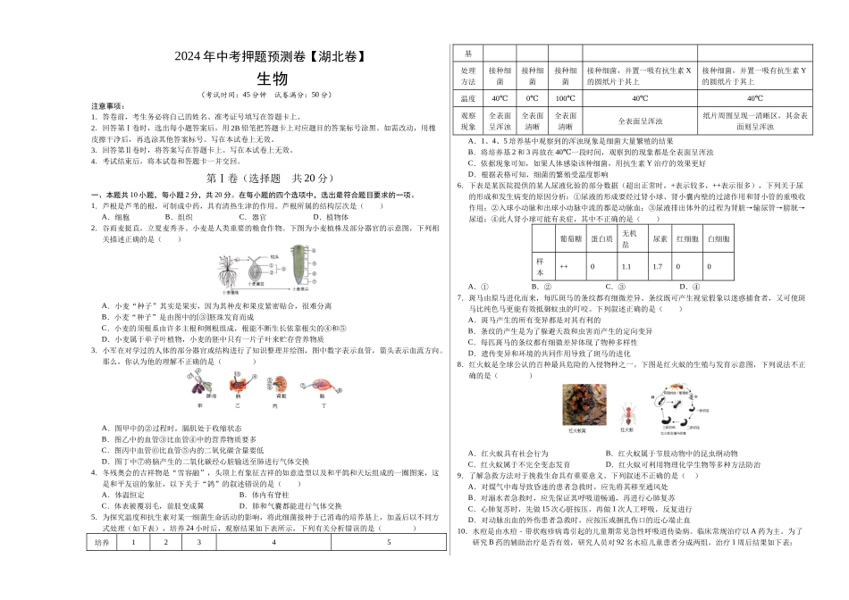 2024年中考押题预测卷（湖北卷）-生物（考试版）A3(1).docx_第1页