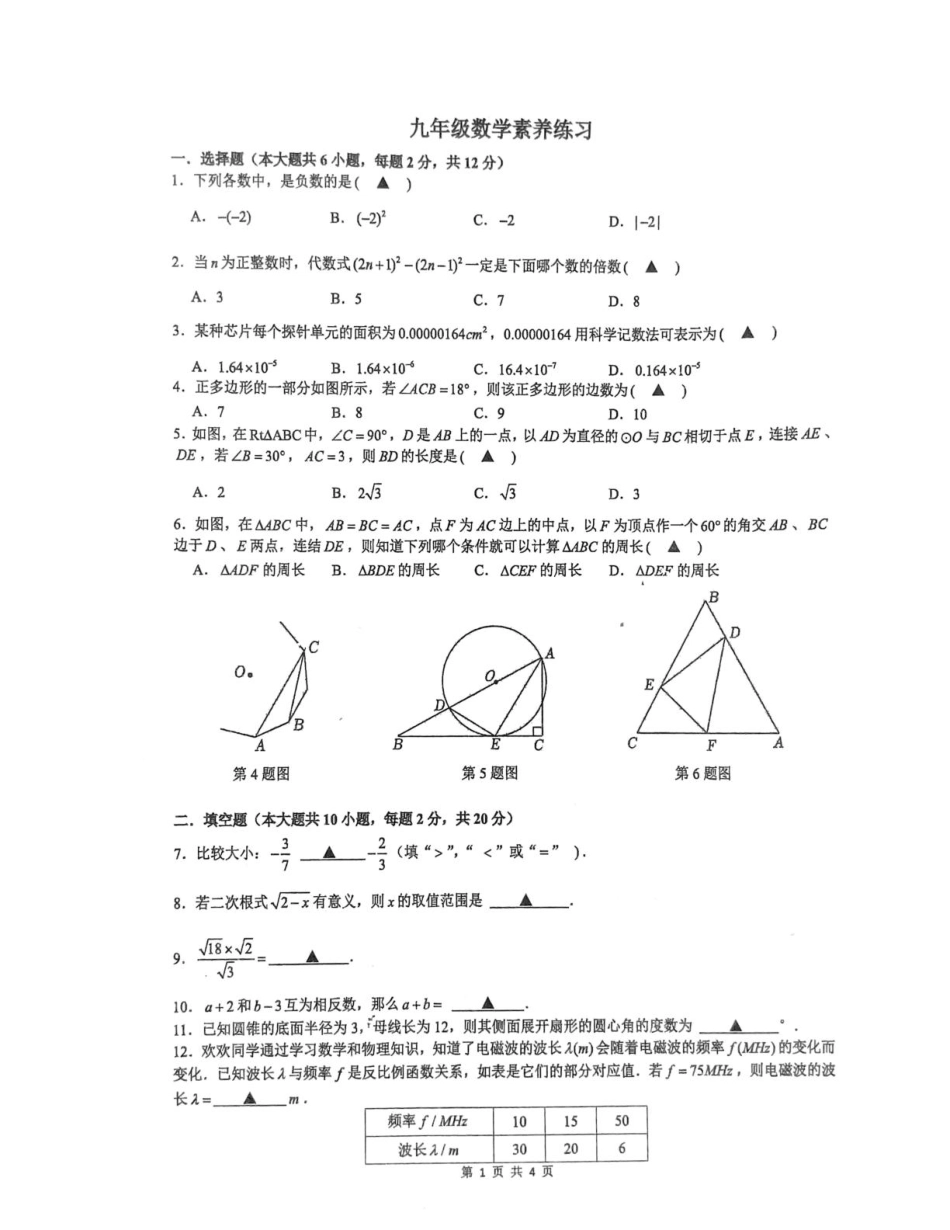 江苏省南京市联合体2024-2025学年九年级下学期零模考试-数学试卷（含答案） 九年级数学素养练习.pdf_第1页