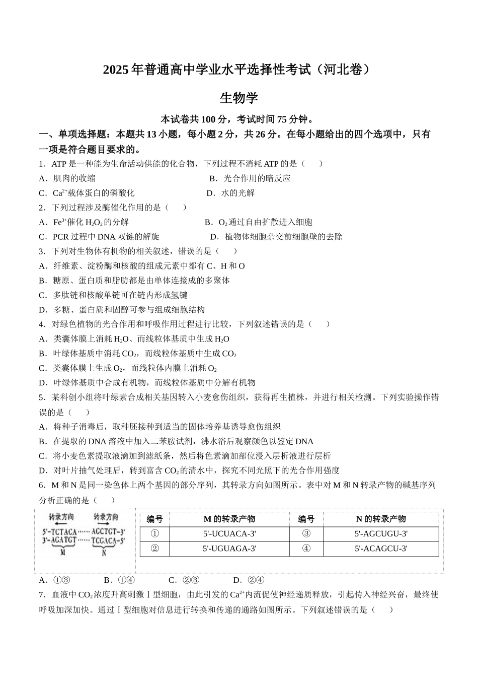 2025年高考河北生物真题（原卷版）.docx_第1页