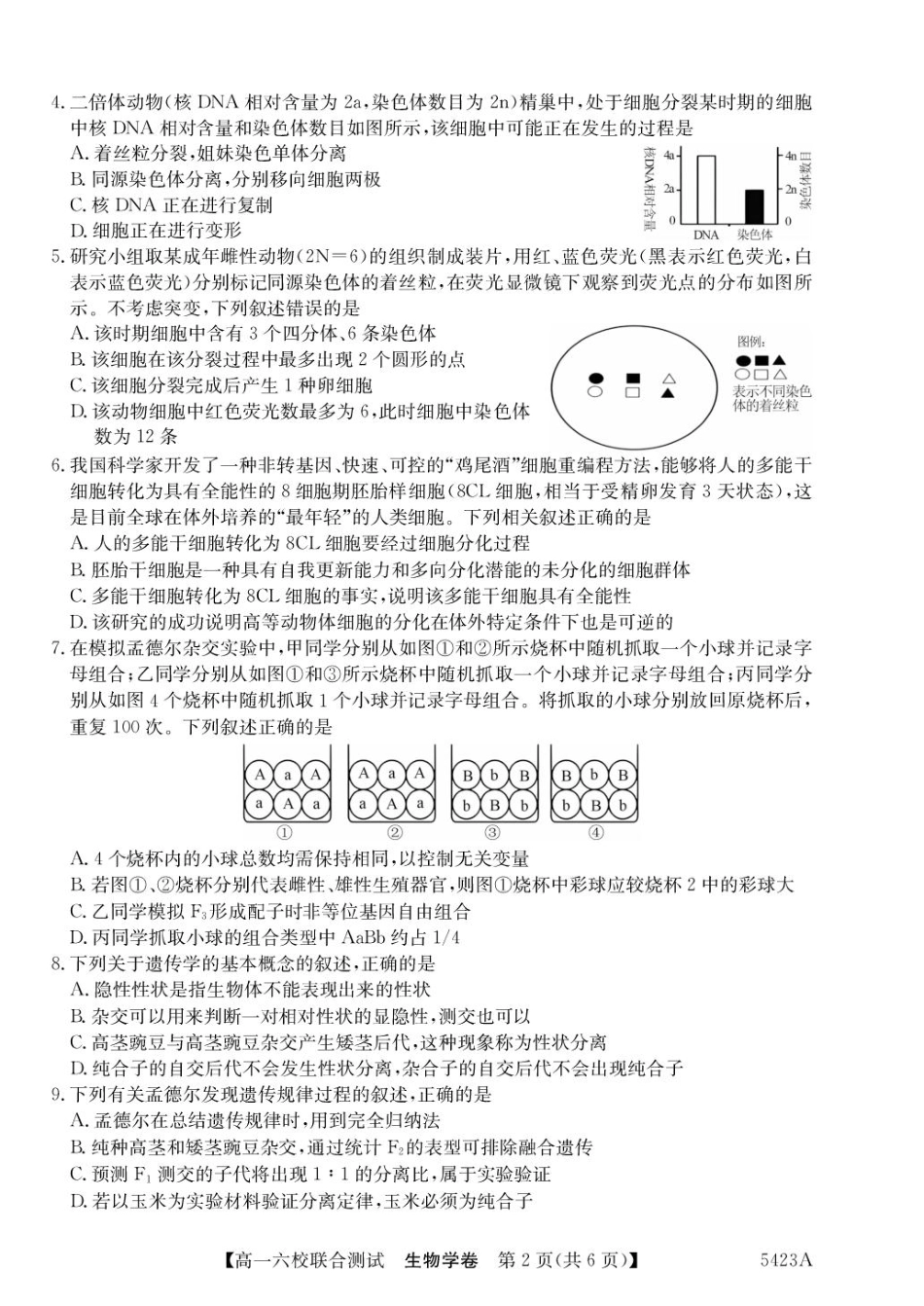 广东省六校（清中、河中、惠中、茂中等）2024-2025学年高一下学期5月联合测试生物试卷（扫描版，有答案）.pdf_第2页