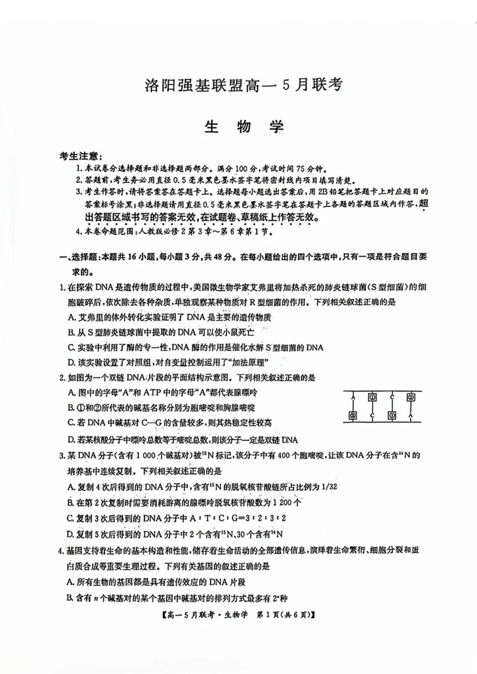 河南省洛阳市强基联盟2024-2025学年高一下学期5月月考生物试题（扫描版，有答案）.pdf_第1页