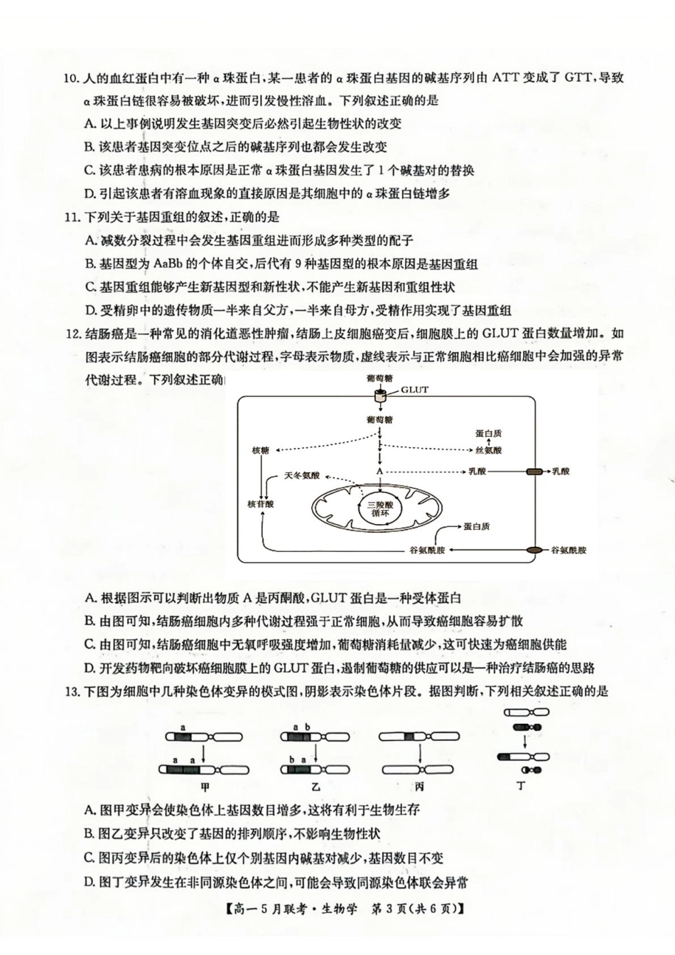 河南省洛阳市强基联盟2024-2025学年高一下学期5月月考生物试题（扫描版，有答案）.pdf_第3页