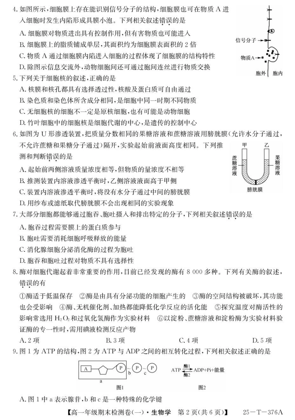 【广东卷】广东省广州市2024-2025学年高一上学期期末检测卷（一）（25-T-376A）（12.30-12.31）【生物试卷+25-T-376A答案】.pdf_第2页