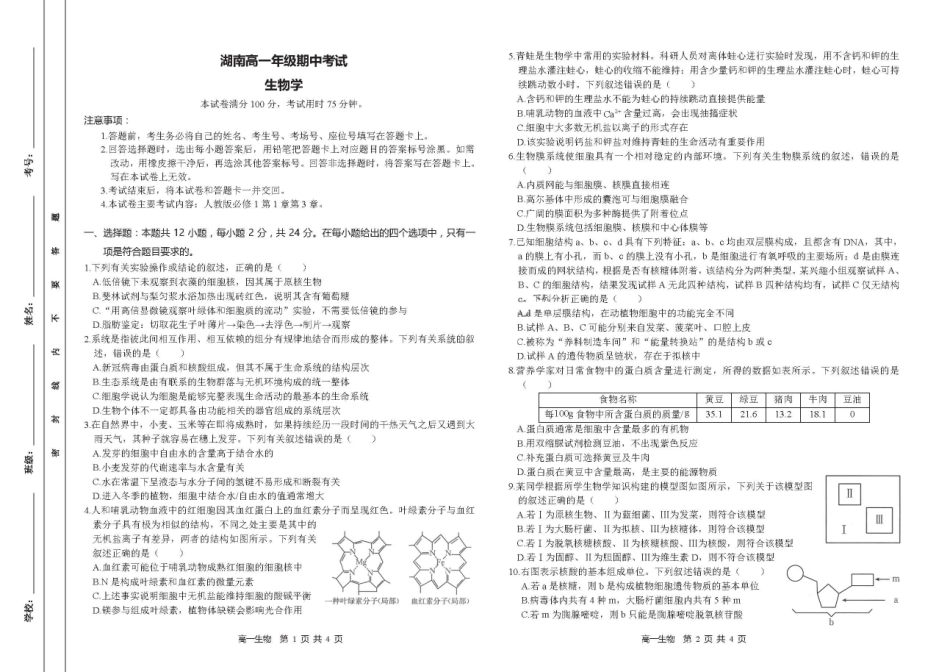 【湖南卷】湖南省金太阳多校联考2024-2025学年高一上学期期中考试生物试题.pdf_第1页