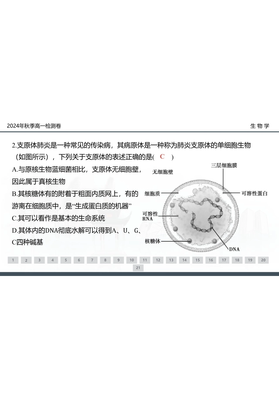 【湖南卷】湖南省新高考教学教研联盟(暨长郡十八校联盟)2024年秋季高一第三次联考（12.9-12.10）生物试卷+解析.pdf_第2页