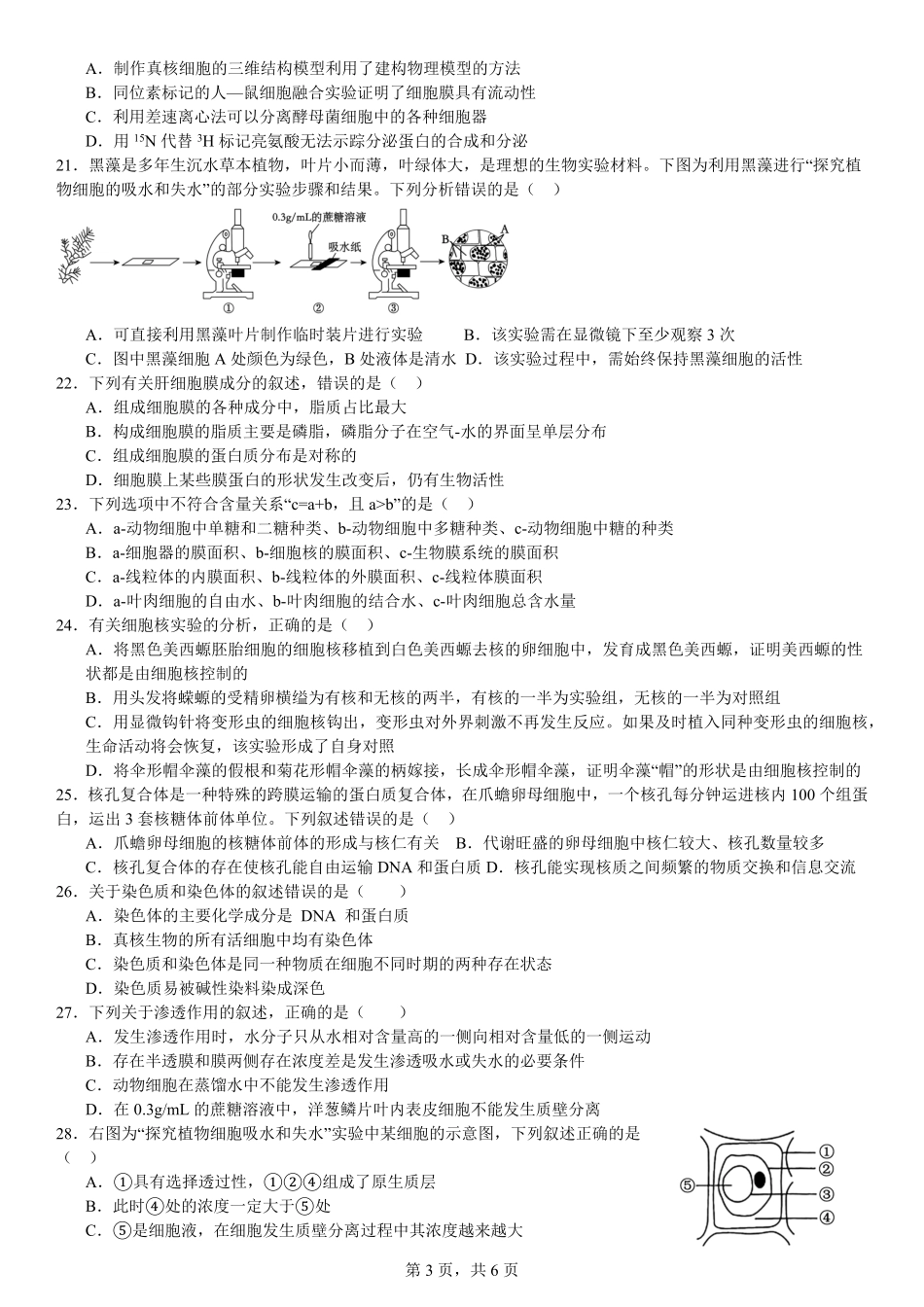 【云南卷】云南省玉溪市一中2024-2025学年高一上学期第二次月考生物试卷.pdf_第3页