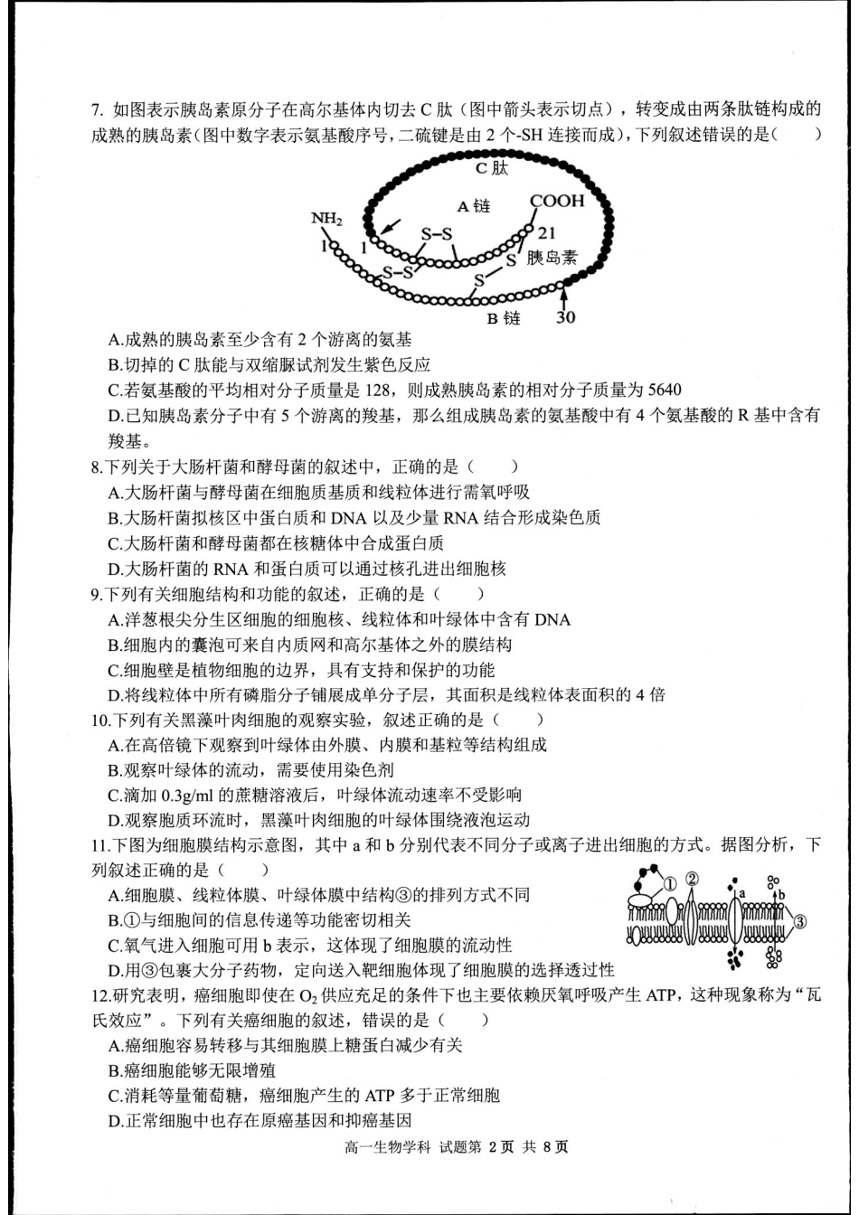 【浙江卷】【高一】浙江省金华市卓越联盟2024-2025学年高一年级上学期12月阶段性考试（12.26-12.27）生物试卷.pdf_第2页