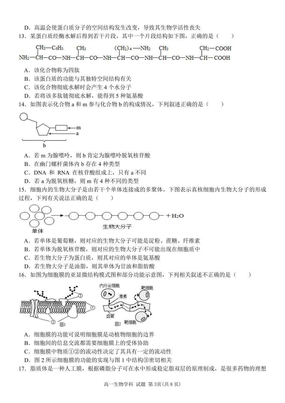 【浙江卷】2024年浙江省宁波三锋教育联盟高一期中试卷及答案生物试卷.pdf_第3页