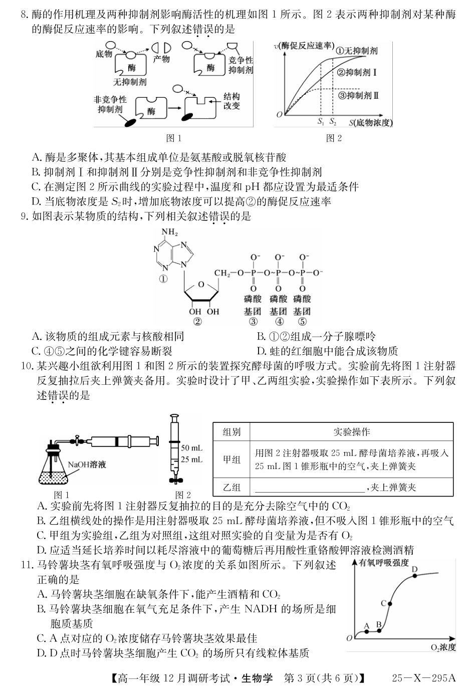27届高一年级TOP二十名校12月调研考试生物试卷.pdf_第3页