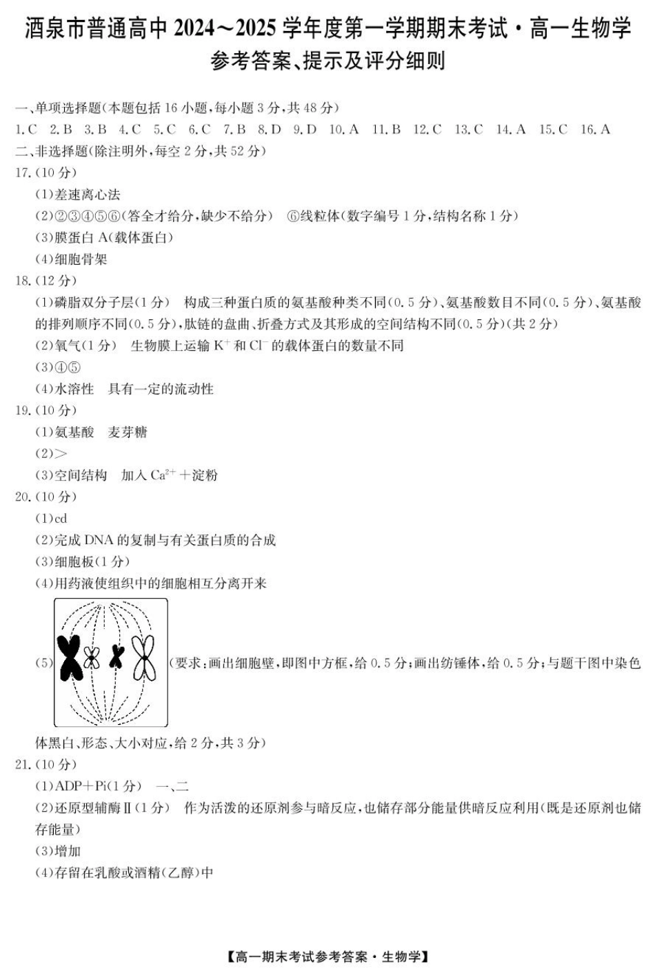 25042A2024-2025学年高一上学期1月期末考试生物答案.pdf_第1页