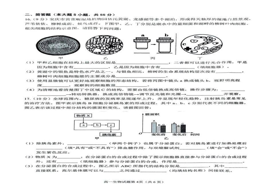 安徽省安庆市2024-2025学年第一学期期末统考高一生物试题及答案高一生物试题.pdf_第3页
