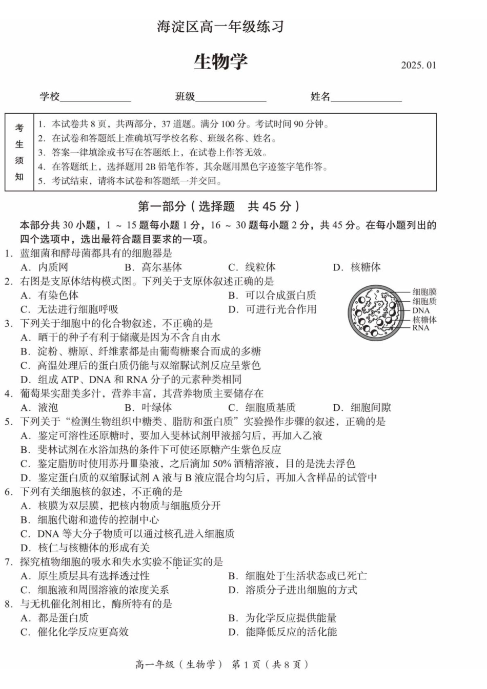 北京市海淀区2024-2025学年高一上学期1月期末考试生物试卷（有答案）.pdf_第1页