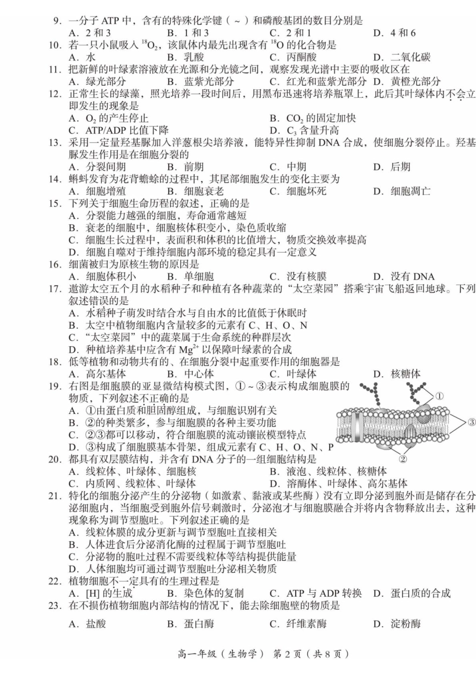 北京市海淀区2024-2025学年高一上学期1月期末考试生物试卷（有答案）.pdf_第2页