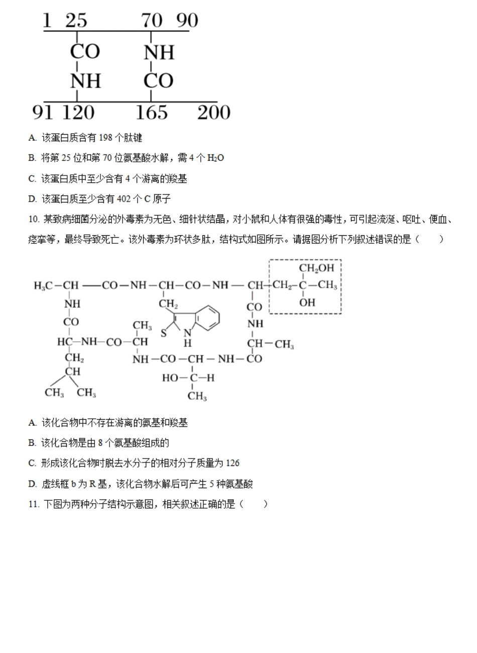 福建省福州市福九联盟2024-2025学年高一上学期期11月中考试生物试题.pdf_第3页