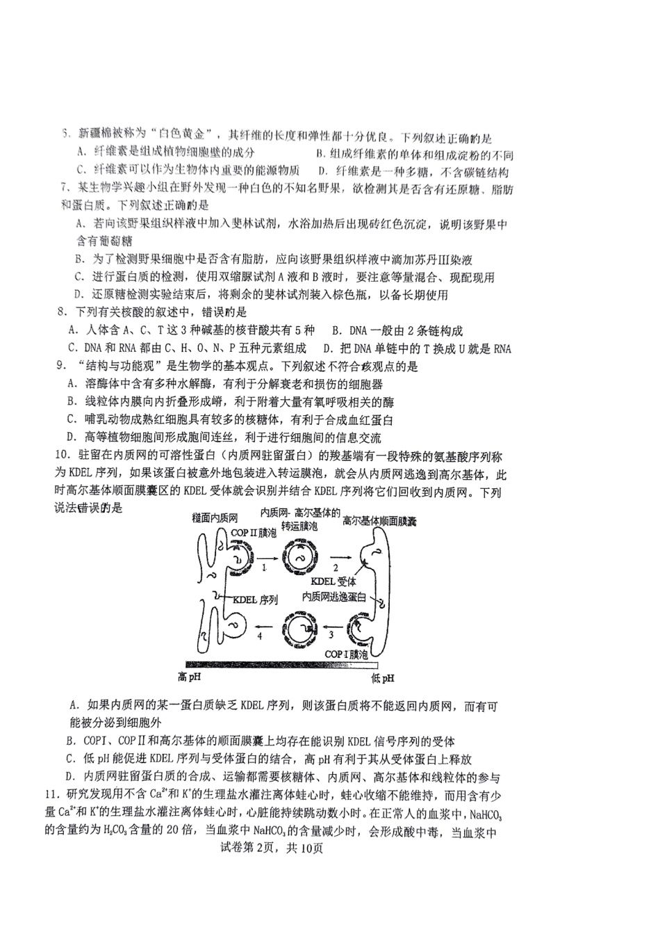 福建省三明市三校协作2024-2025学年高一上学期12月联考试题生物.pdf_第2页