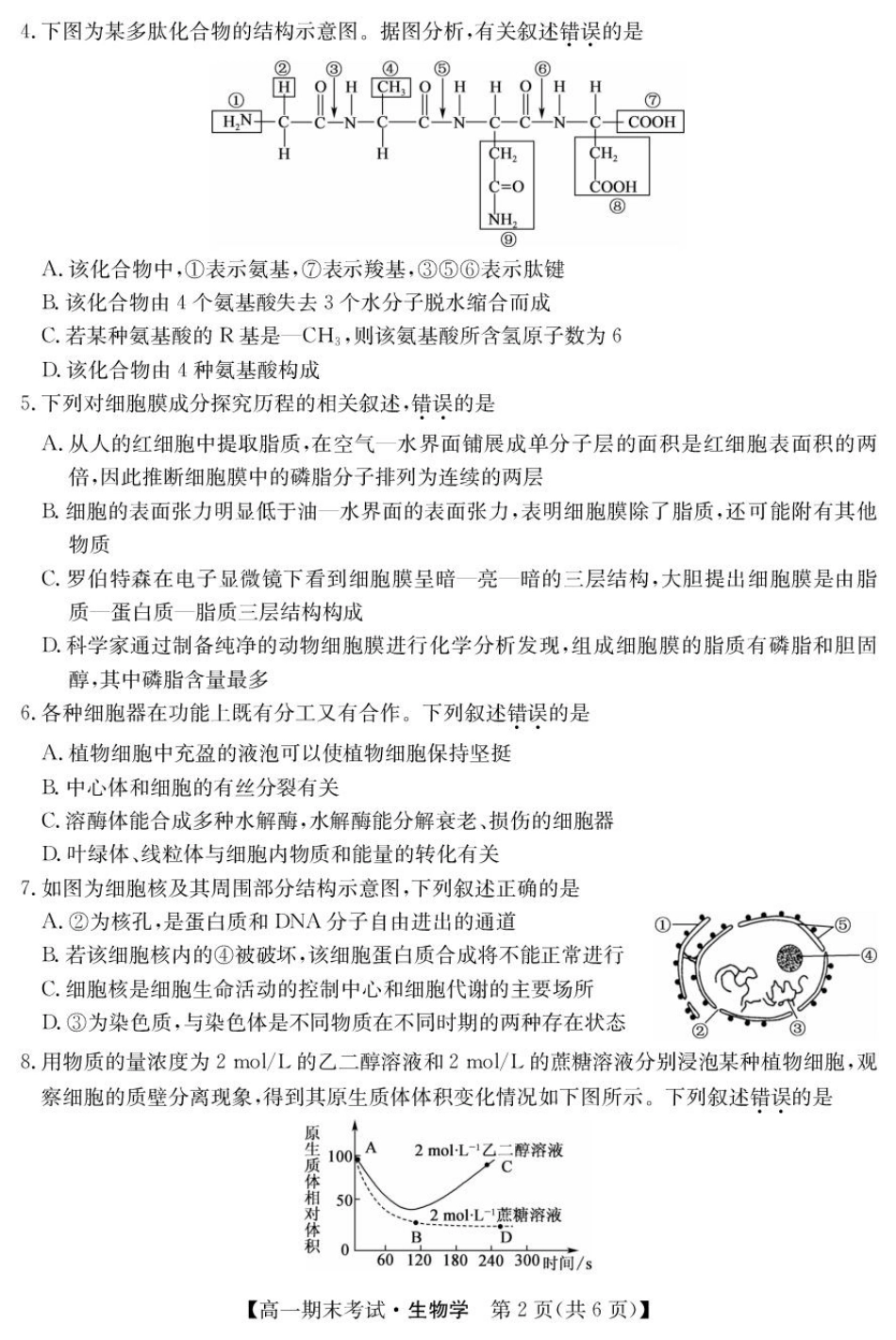 甘肃省酒泉市2024-2025学年高一上学期1月期末考试25042A生物试题.pdf_第2页