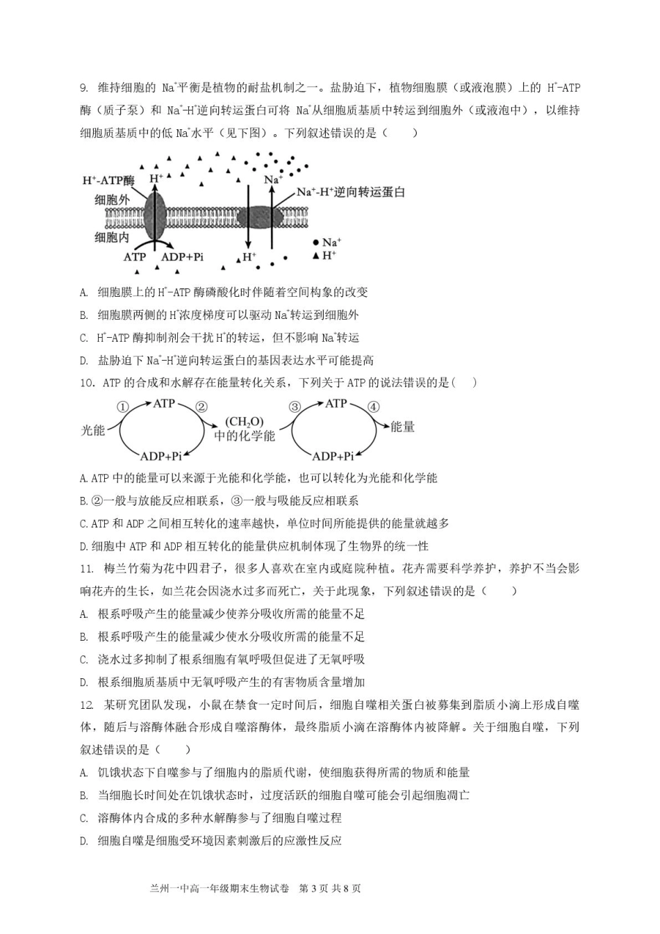甘肃省兰州第一中学2024-2025学年高一上学期1月期末考试生物试卷.pdf_第3页