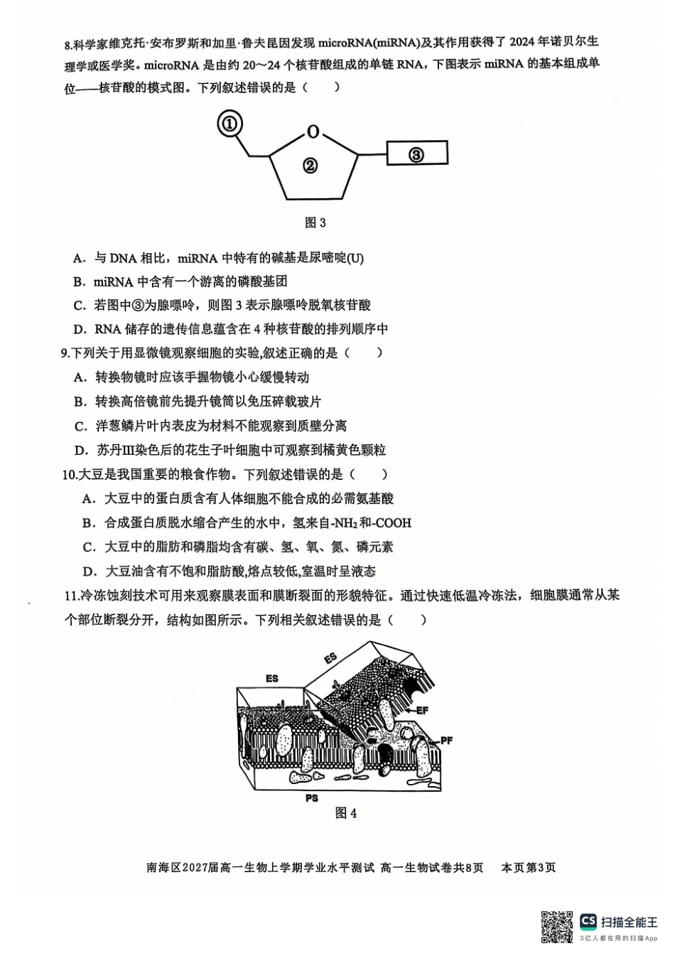广东省佛山市南海区2024-2025学年高一上学期12月月考试题生物.pdf_第3页