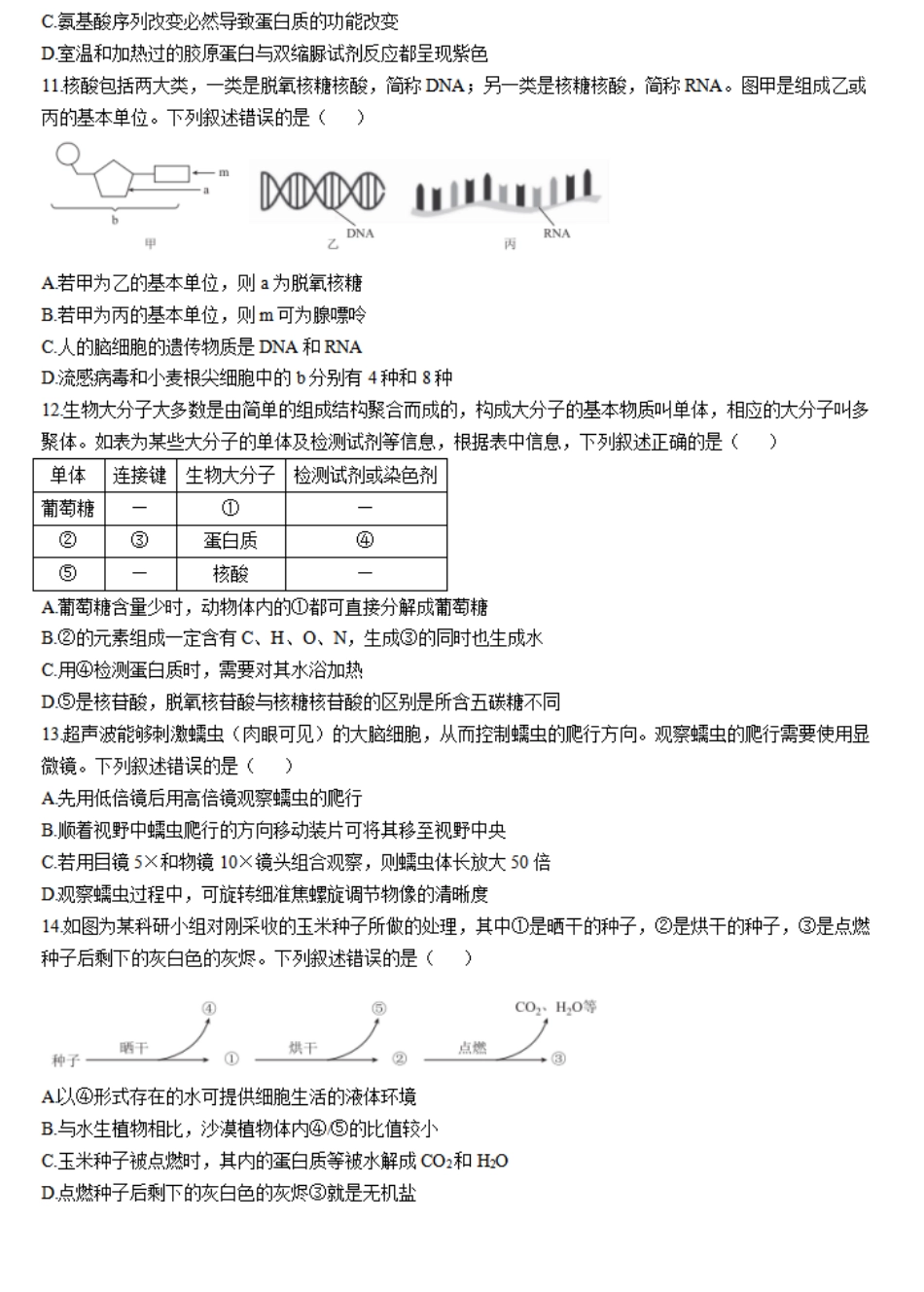 广东省衡水金卷2024-2025学年高一上学期11月联考生物试题.pdf_第3页