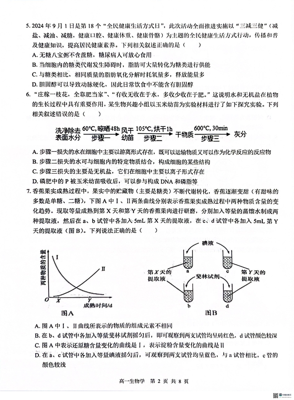 广西“贵百河—武鸣高中”2024-2025学年高一上学期12月新高考月考生物试题.pdf_第2页