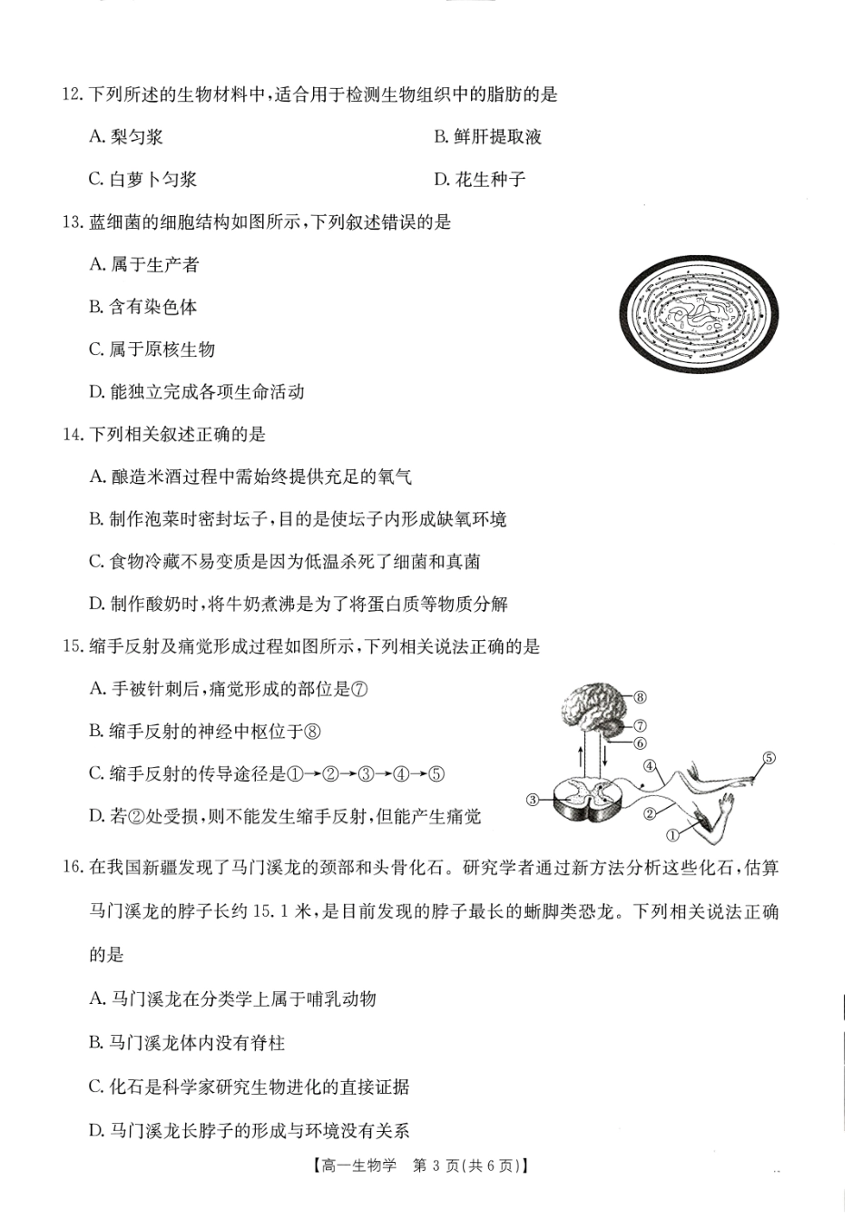 广西名校联盟2024-2025学年高一上学期入学考试生物试题.pdf_第3页