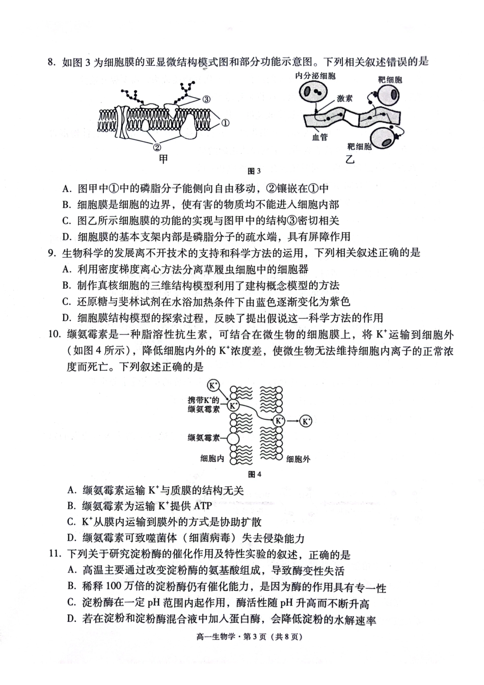 贵阳市2027届高一年级联合考试（二）生物.pdf_第3页