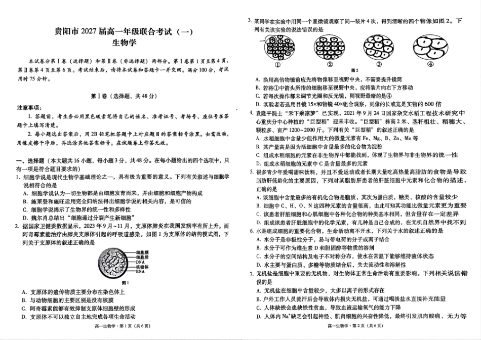 贵州省贵阳市2024-2025学年高一上学期10月联合考试（一）生物含解析.pdf_第1页