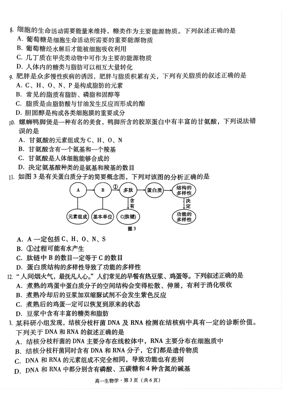 贵州省贵阳市2024-2025学年高一上学期10月联合考试（一）生物含解析.pdf_第2页