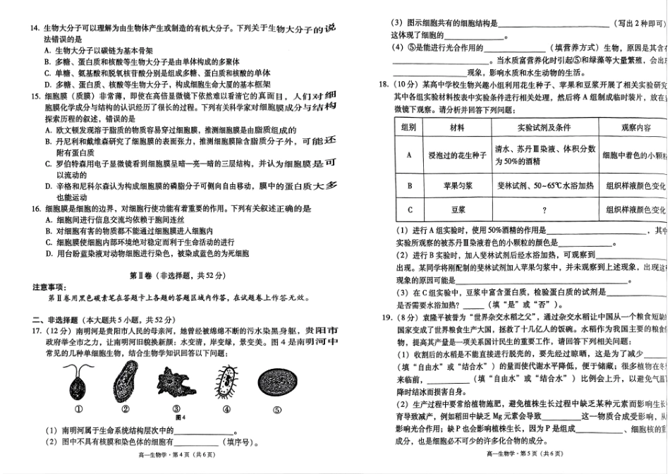贵州省贵阳市2024-2025学年高一上学期10月联合考试（一）生物含解析.pdf_第3页