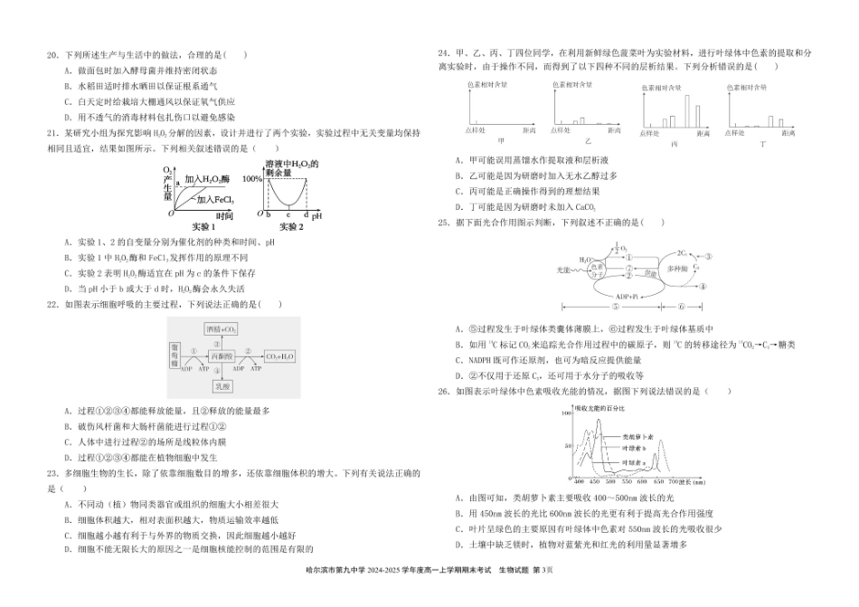 哈尔滨市第九中学校2024-2025学年高一上学期期末考试生物试卷.pdf_第3页