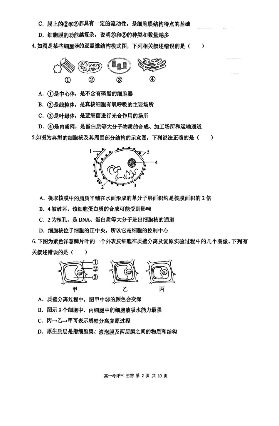 河北省保定市2024-2025学年高一上学期12月考评三生物试卷（含答案）.pdf_第2页