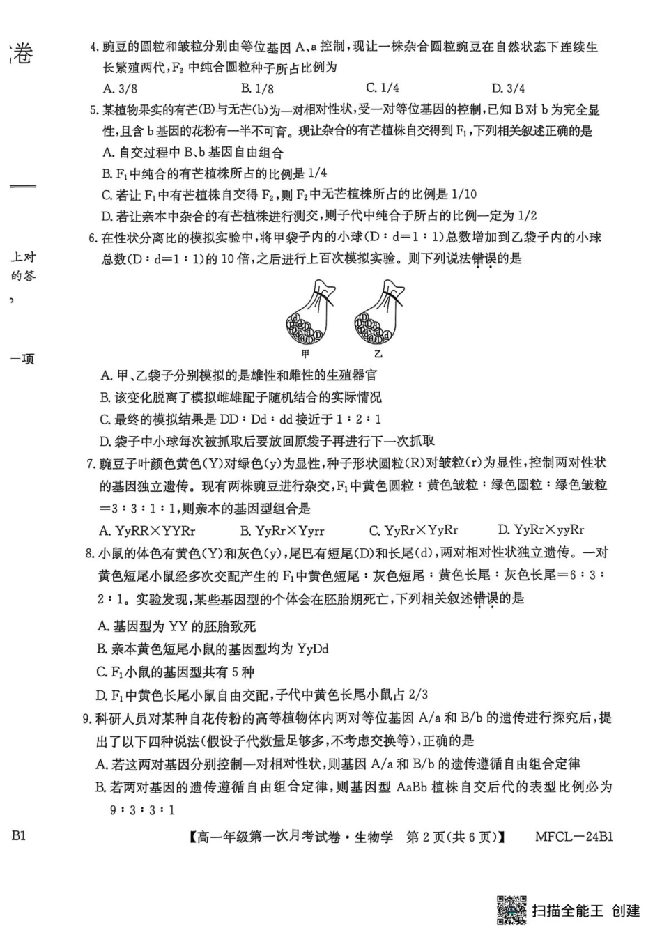 河北省沧州市四县联考2024-2025学年高一下学期3月月考生物试题.pdf_第2页