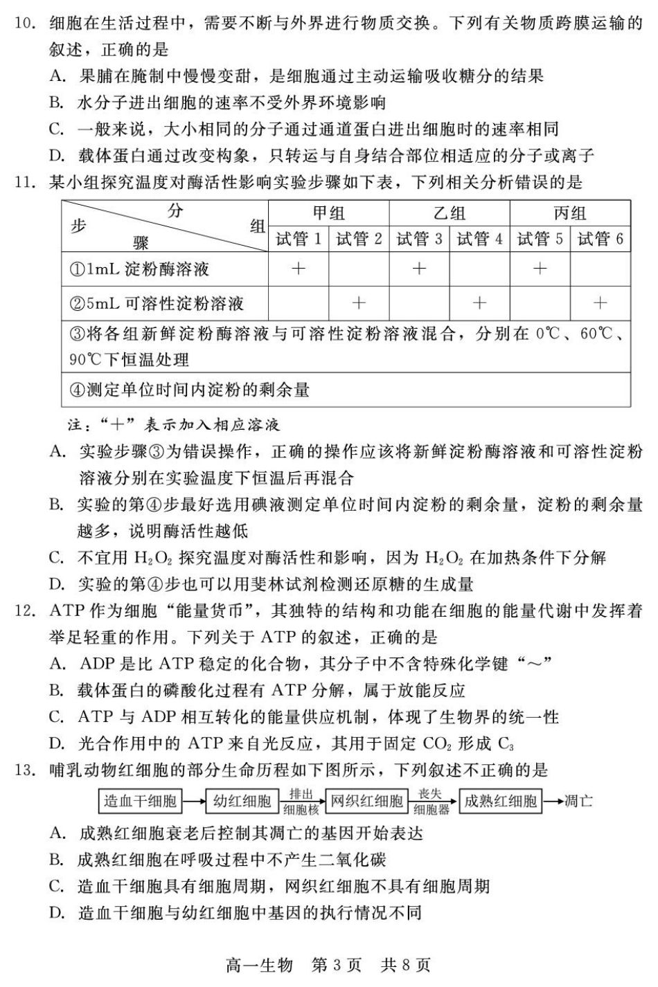 河北省邯郸市NT20名校联合体2024-2025学年高一上学期期末考前实战大演练生物试卷（含答案）.pdf_第3页