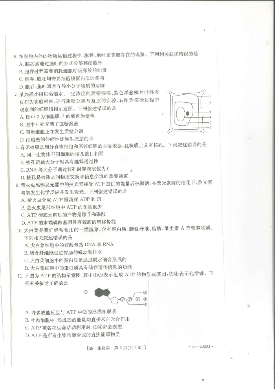 河南省部分学校2024-2025学年高一上学期12月月考试题生物含解析.pdf_第2页