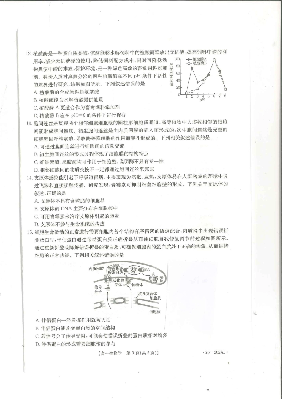 河南省部分学校2024-2025学年高一上学期12月月考试题生物含解析.pdf_第3页