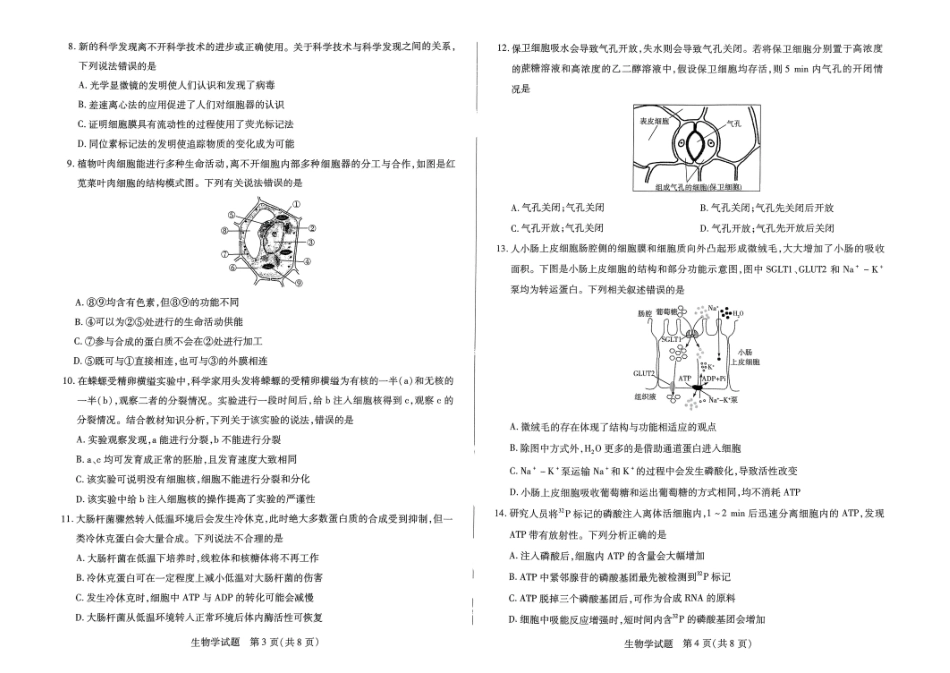 河南省名校大联考2024-2025学年高一上学期12月月考生物试题.pdf_第2页